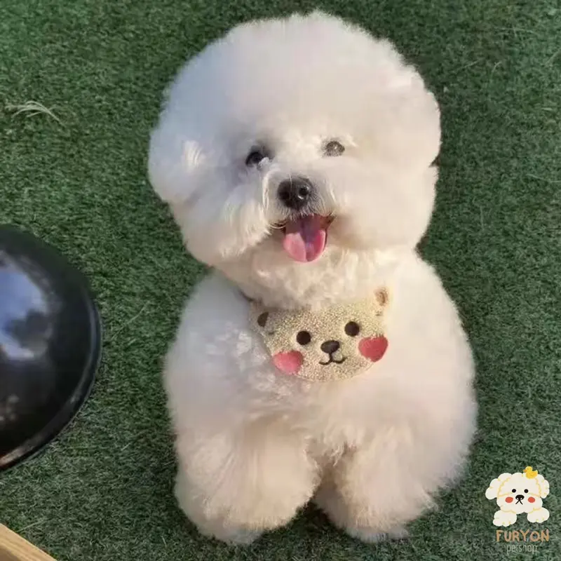 Kalung Bandana Scarf Leher Anjing Kucing Kecil Model Beruang 1