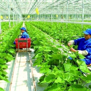 Vật tư Nông Nghiệp Hưng Yên