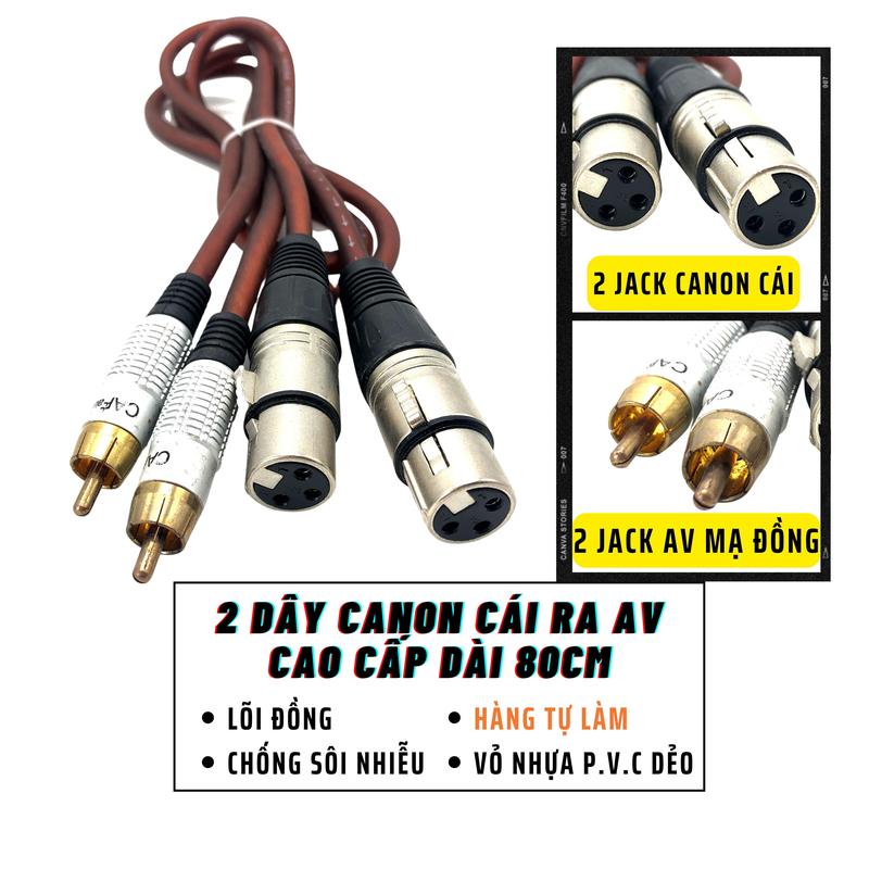 2 Dây Canon Cái Ra Av Hoa Sen Cao Cấp Dài 80Cm Tự Làm, Chống Sôi-Nhiễu, Kết Nối Vang Xuống Amply - H2Pro Tech
