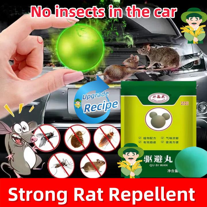 Mothballs for Rats & Pests | 15-Year Validity, No Mice Withi - TikTok ...