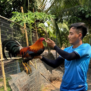 Vinh BếnTre