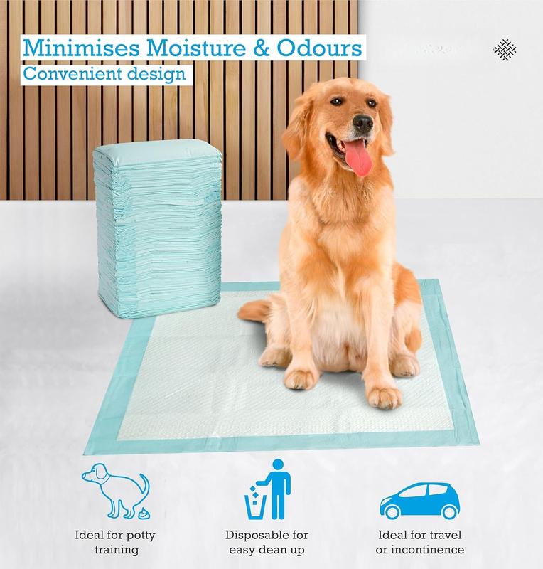 Leak proof dog pads best sale