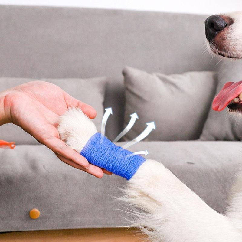 Product Introduction of Pet Elastic Self-Adhesive Bandage Sports Compression Elastic Patch Tape A0R6 31