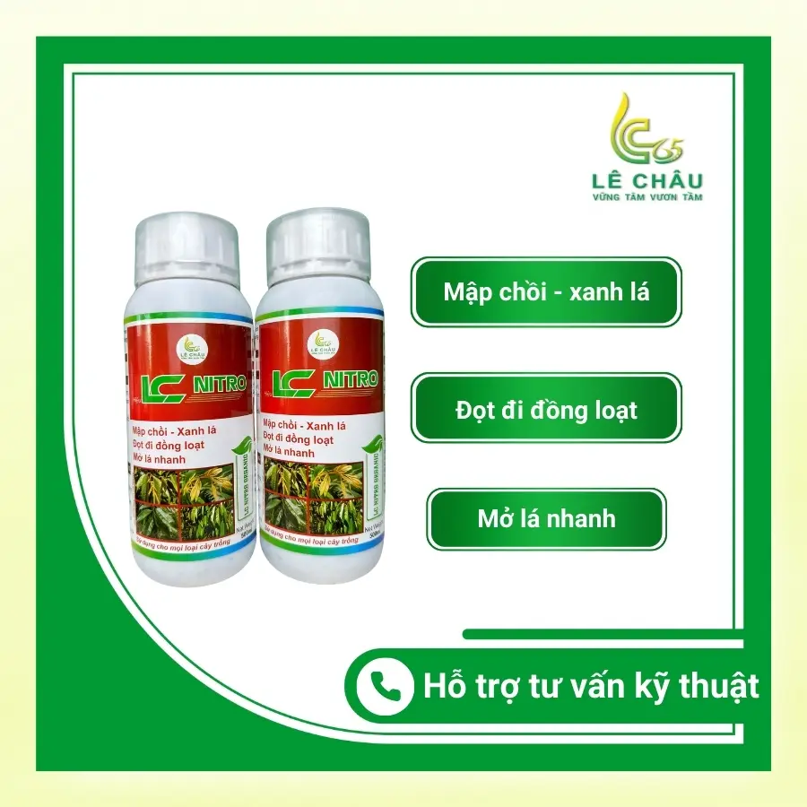 LC NITRO (Organic) - Mập chồi - Xanh lá - Đọt đi đồng loạt - Mở lá nhanh