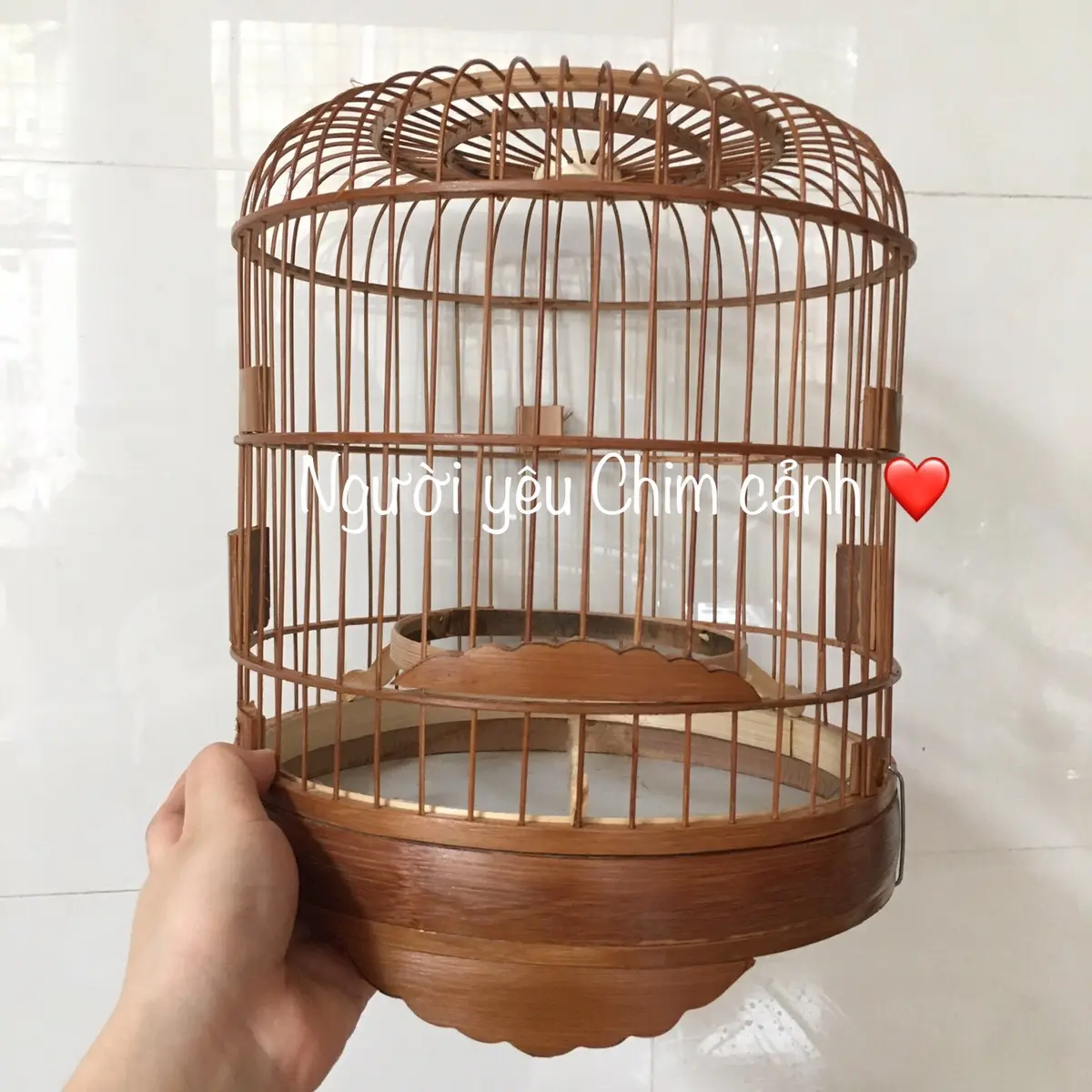 LỒNG CHIM KHUYÊN LÙN TRÚC CẬT NÂU XỬ LÍ