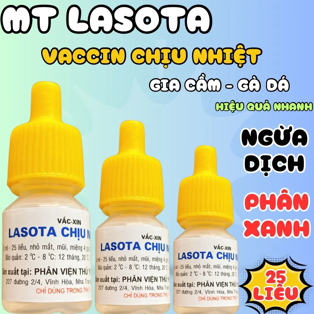 1 Lo Lasota chịu nhiệt phòng dịch tả, phân xanh, rù toi, rút hình vaccin cho gà chọi lọ 25 liều