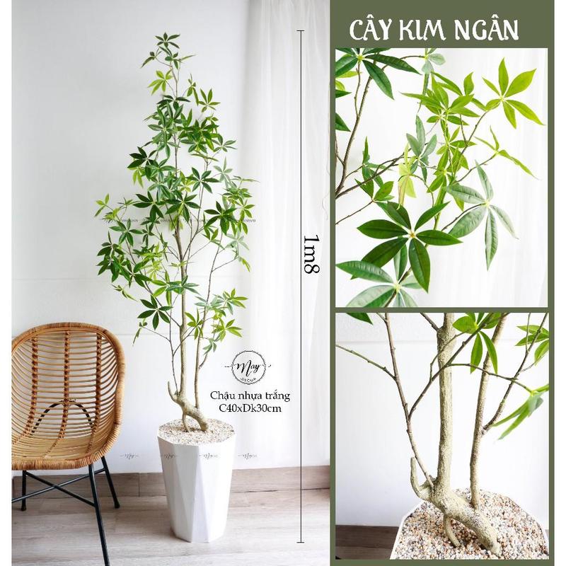 Cây giả, Cây Kim Ngân giả loại đẹp decor trang trí nhà cửa Decor Phòng