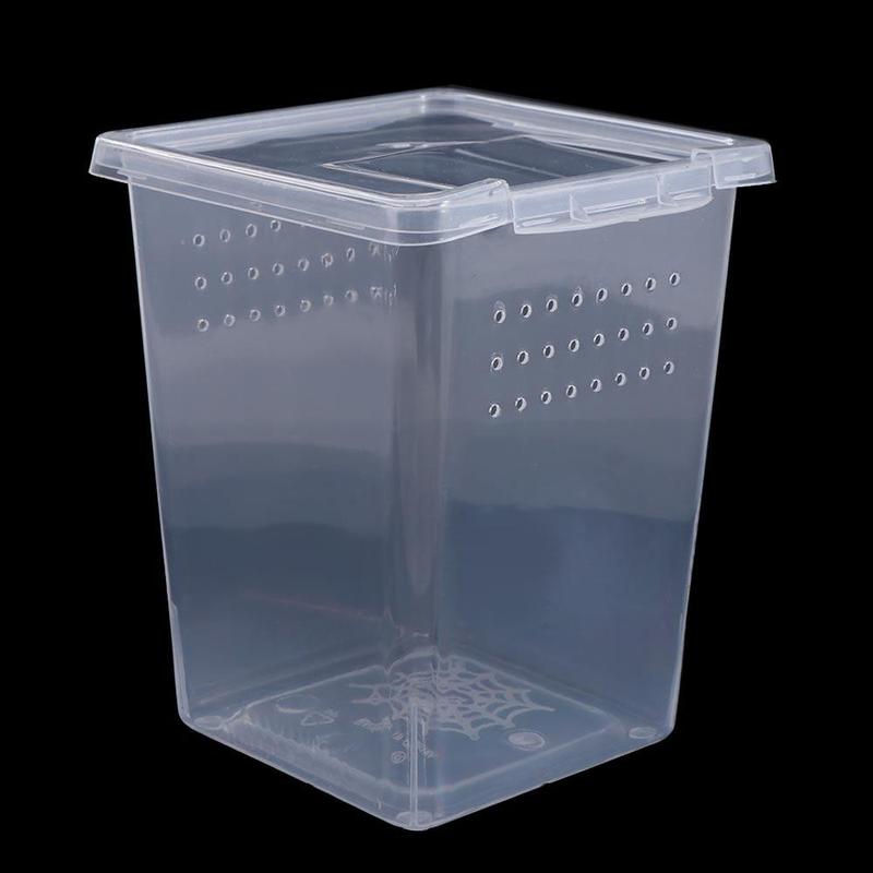 PET HOTLE 1PC Practical Transparent Reptile Accessories Plastic Household Lizard Living Box Hatching Tank Insect Feeding Box Reptile Habitat 3