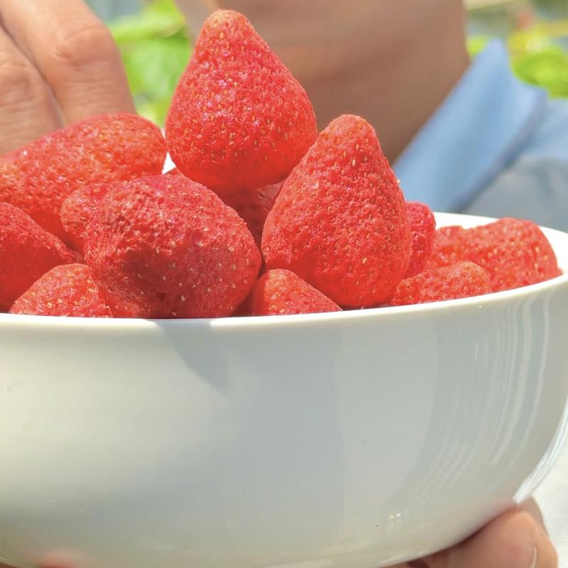 tặng 30gr sc khô 200g Dâu Tây Sấy Khô Giòn Thăng Hoa - Ăn Vặt Hai Lâm - Ăn Vặt Đà Lạt Ngon Miệng Chua Ngọt Dễ Ăn,Snack Thực Phẩm Ăn Liền Food Thức Ăn trai cay say kho