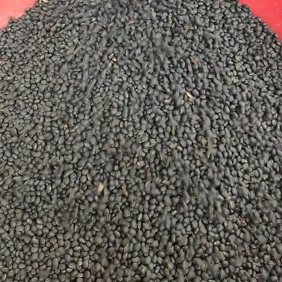 Trà Gạo Lức Kết Hợp Đậu Đen - 40 Túi Lọc Nước Trà - Tea Hạng mục 3