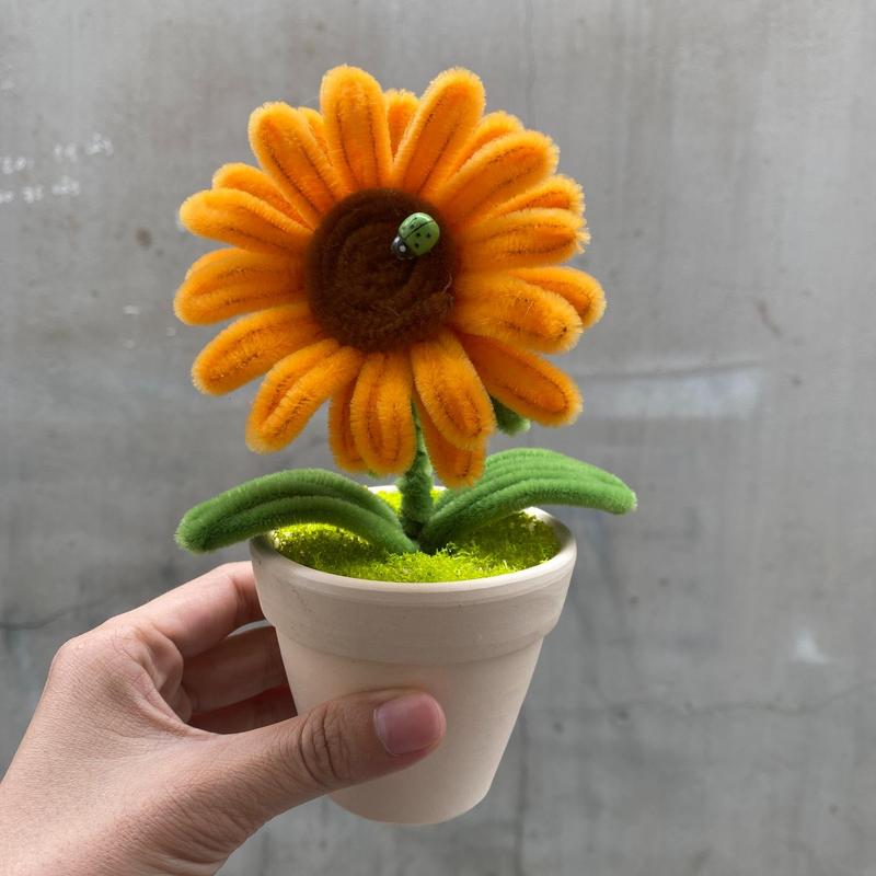 Chậu Hoa Dướng Dương, Dễ Thương, Để Bàn, Decor Bàn Decor Phòng Trang Trí Nhà bó bó  hoa cây  tùng chậu mai  kẽm nhung hoa  mộc hoa  hồng nụ  hoa cây  thông