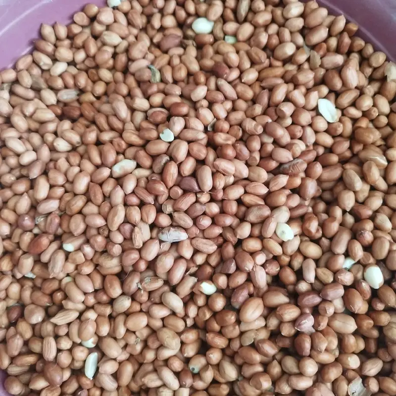 kacang tanah gurih kuality per 250gram 0