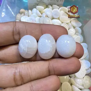 [HANYA BATU] Batu Mani Gajah bisa jalan di air cuka