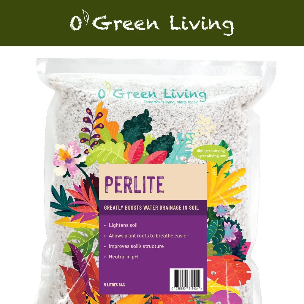 Perlite - 5 Litres Bag x 01 (2-6mm, Germany)