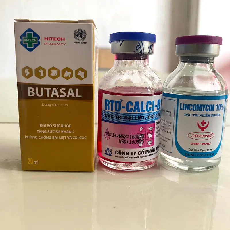 Bộ bại liệt gà đá, yếu chân ( 1 lọ butasal, 1 lọ canxi b12 và 1 lọ lincomycin 10%) 2