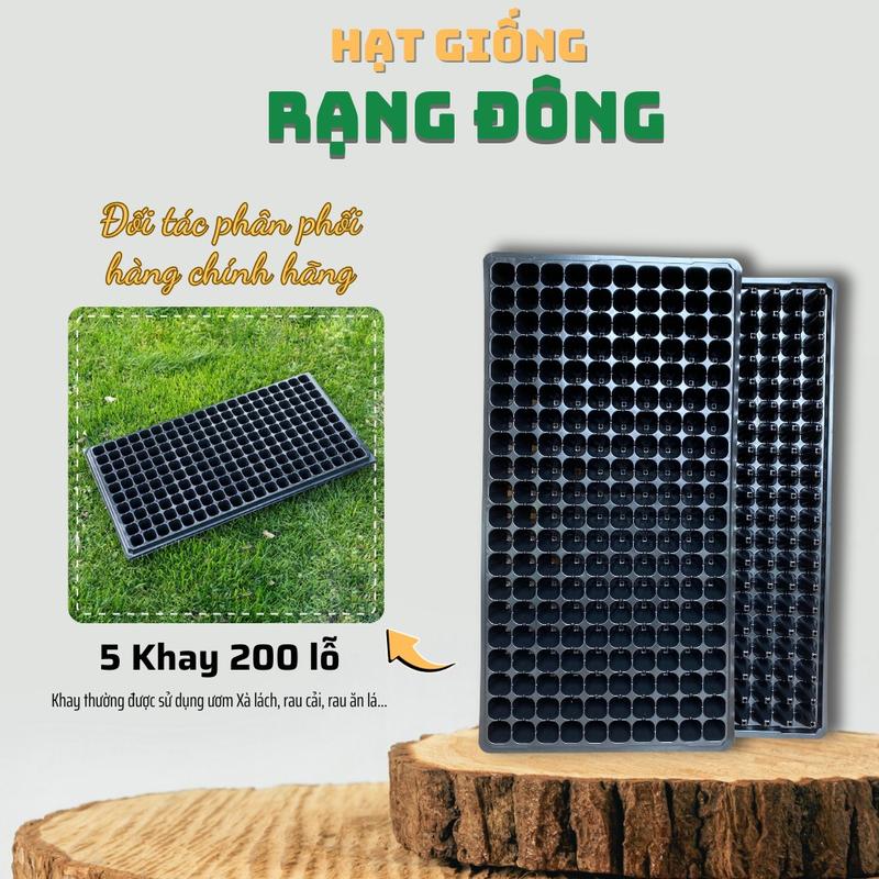 Khay Ươm Hạt Giống 200 Lỗ - Nhựa dày vừa chịu nhiệt tốt phù hợp ươm: rau cải xà lách - Hạt giống Rạng Đông