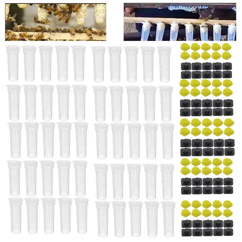 Product Introduction of Lồng Nữ Hoàng Nuôi Ong, Cầm Tay Mini, Bền, Màu Trắng, Dụng Cụ Nuôi Ong, Lồng Cắn Ong, Vỏ Bảo Vệ Tế Bào Ong 8