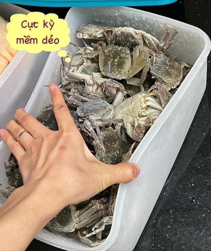 HỘP TRỮ ĐÔNG FREEZERMATE GEN II 5.7L tupperware chính hãng