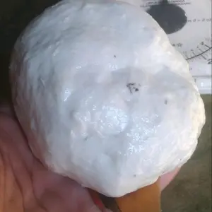 pulut burung berkualitas 250g