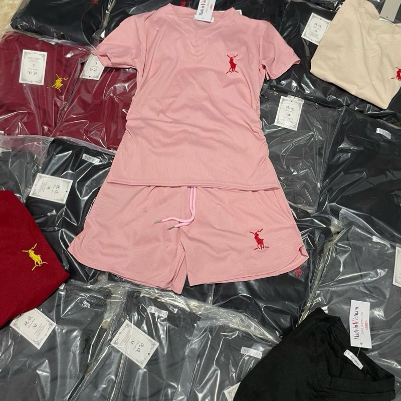 Bộ thun tăm thêu ngựa unisex 0