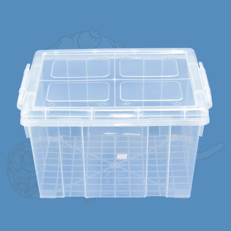 Product Introduction of กล่องพลาสติกใส ฝาล็อค World Class 7044 15
