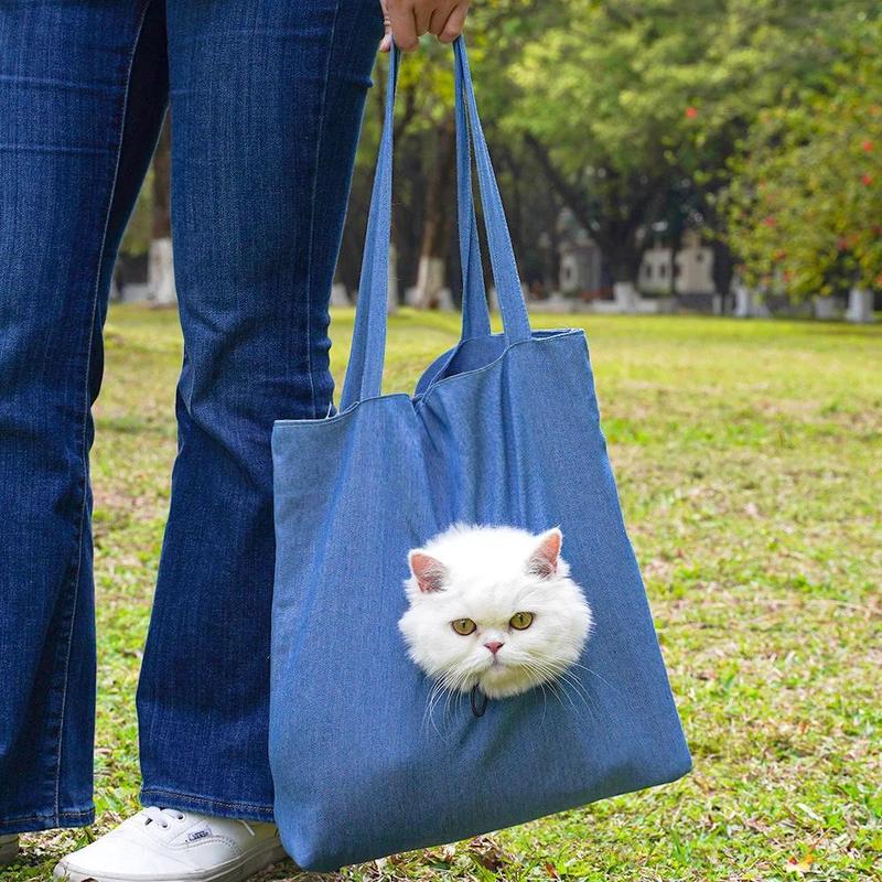 Product Introduction of Pet Canvas Shoulder Bag Lion shaped Cat Tote Bag Comfortable Pet Tote Bag Pet Shoulder Bag Portable Outdoor Cat Tote Bag 19