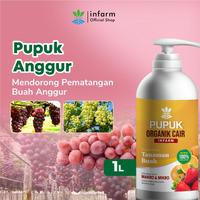 Gambar INFARM - Pupuk Anggur Pupuk Organik Cair Tanaman Buah / Bunga 1L POC Kompos Pupuk Tanaman Cair Pupuk Buah Anggur Pelebat Buah Tidak Mudah Rontok Pupuk Organik Cair 1 Liter Tanaman Cepat Berbuah Rasa Manis Buah Lebat Buah Cepat Matang Buah Cepat Panen dari Infarm Kota Surabaya 1 Tokopedia
