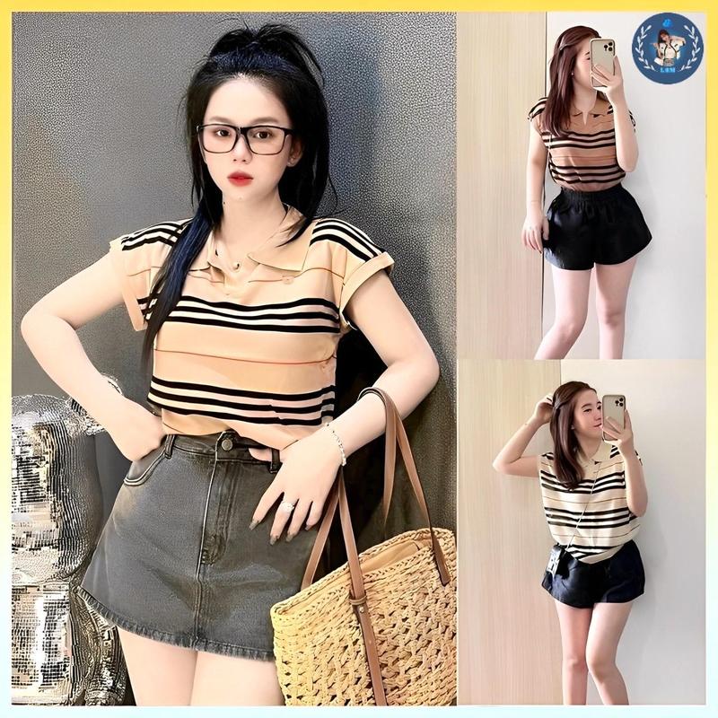   A260  Áo len thun nữ Montoghi hàng dệt kim BBr GẤU NHỎ tay cánh dơi cổ polo hàng Quảng Châu kiểu mới - L2M  Top Women Fashion   【 hoa hồng  【 Hỏa tốc   