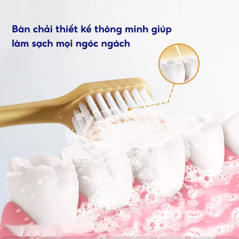 Bộ 6 bàn chải đánh răng lông tơ mềm mại JYoohome Than tre hoạt tính nội địa Trung lông mềm, chải siêu êm bàn  chai 2
