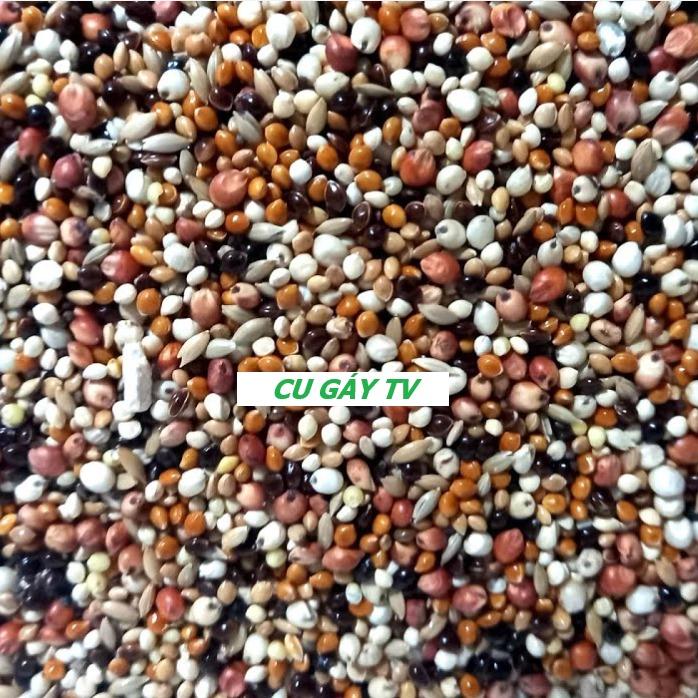 ngủ cốc cu gáy 2kg Dùng cho chim cu gáy vẹt chuột hamster ,.... Hạt to sạch đẹp. hình ảnh và video sản phẩm do shop tự chụp không chỉnh sửa