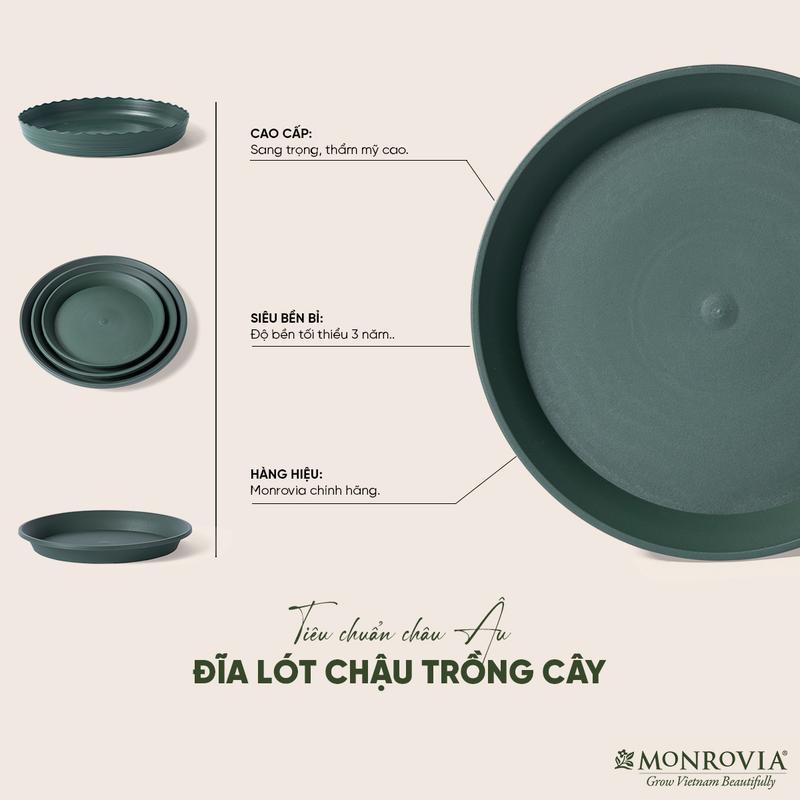 Đĩa lót chậu nhựa trồng cây MONROVIA, cho cây cảnh, hoa hồng, thiết kế tinh tế, tiêu chuẩn Châu Âu