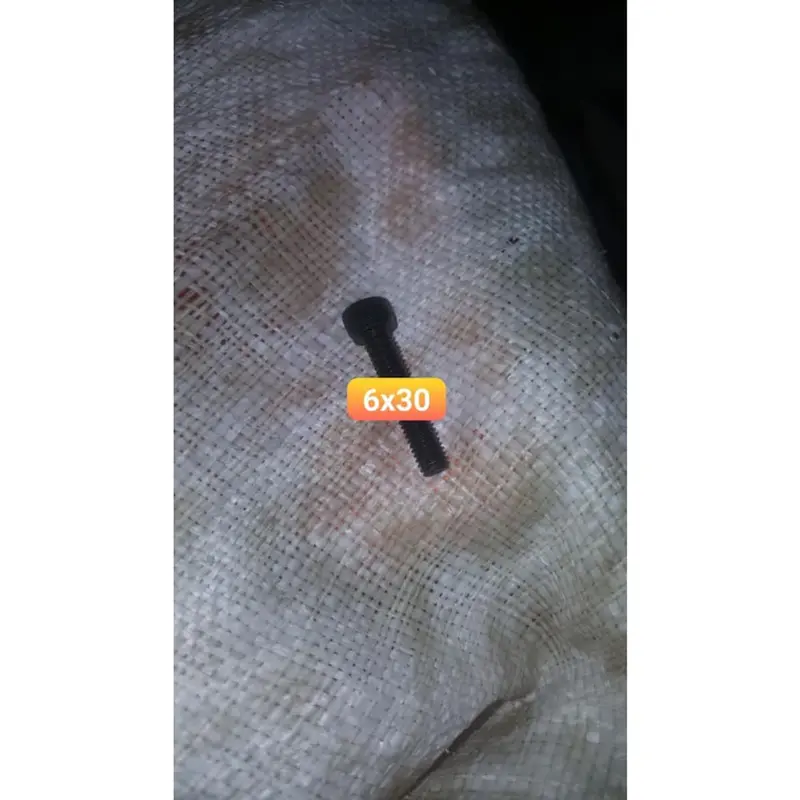 ỐC TRỤ ĐẦU LỤC GIÁC BẮT BASS VÀ TRELB LOA COMBO 10 CON GIÁ 20K 2
