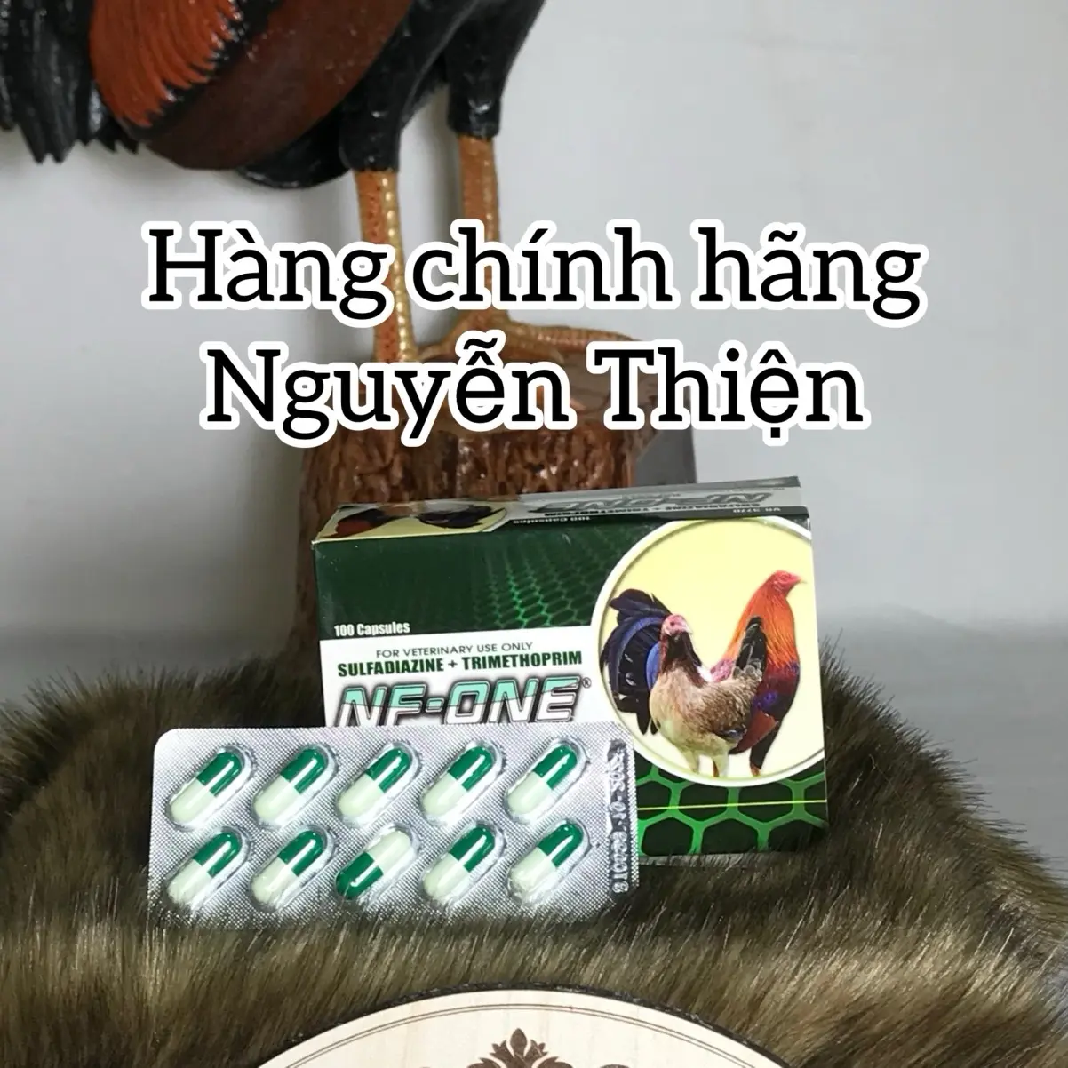 NF-ONE dạng viên - sản phẩm hỗ trợ tiêu hoá và trị bệnh đường ruột dành cho chiến kê