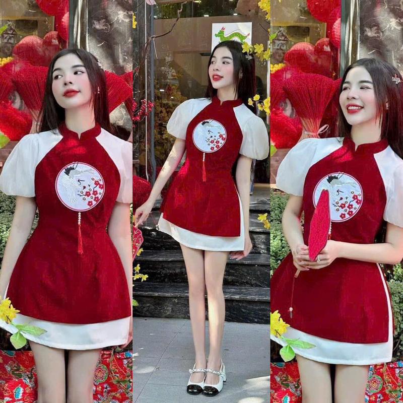  Sét Đầm Nhung Vây Tuyết Mưa Cổ Cao Phối Tay Bồng Trắng Và Viền Lai Trắng Thêu Họa Tiết Cò Nữ Tính Dịu Dàng Thanh Lịch Sang Trọng Dễ Thương Women Dress Ren Kem Màu Trắng Đỏ 