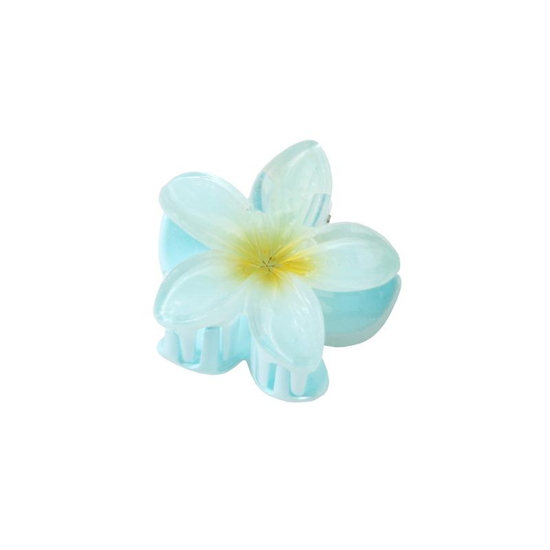Product Introduction of Klip Rambut, Saiz Kecil (4cm), Warna Kecerunan, Rekaan Bunga Plumeria, Diperbuat daripada Bahan Akrilik, Tidak licin, Sesuai untuk Ekor Kuda dan Ponytail, Jepit Rambut untuk Wanita 17