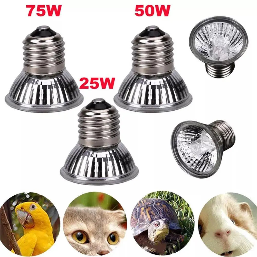 Đèn sưởi ấm, Đèn lưng rùa, Đèn sưởi, Thích hợp cho gà, vịt và chim, Đèn sưởi, U2I7, với bóng đèn