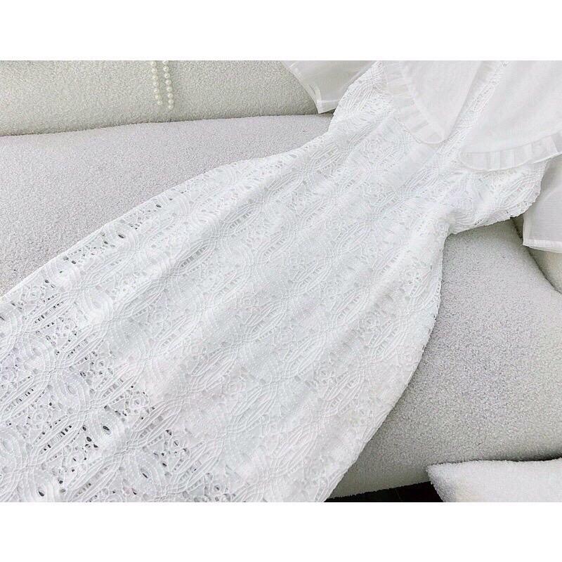 Đầm body ren phối cổ bèo 2