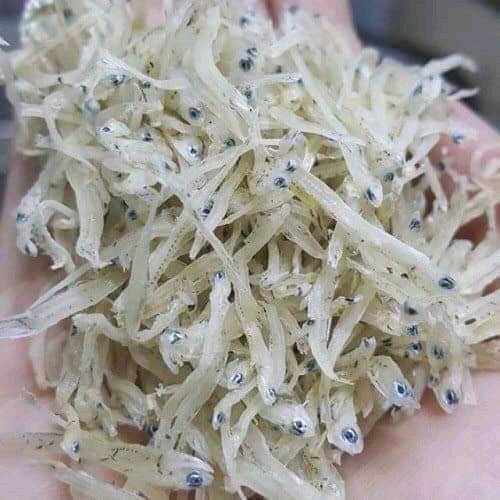 CÁ CƠM SỬA LOẠI 1 (túi 500gr) 0