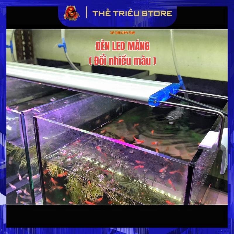 Đèn LED máng kẹp thành hồ cá 30-40-50 cm 9W ( Màu trắng & Đổi nhiều màu )