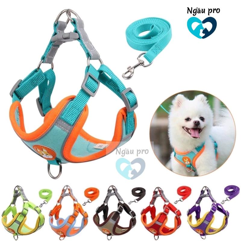 COMBO Áo vest kèm yếm dây dắt chó thú cưng đi dạo phản quang sáng ban đêm - Đai dắt chó - Yếm ngực cho chó poodle