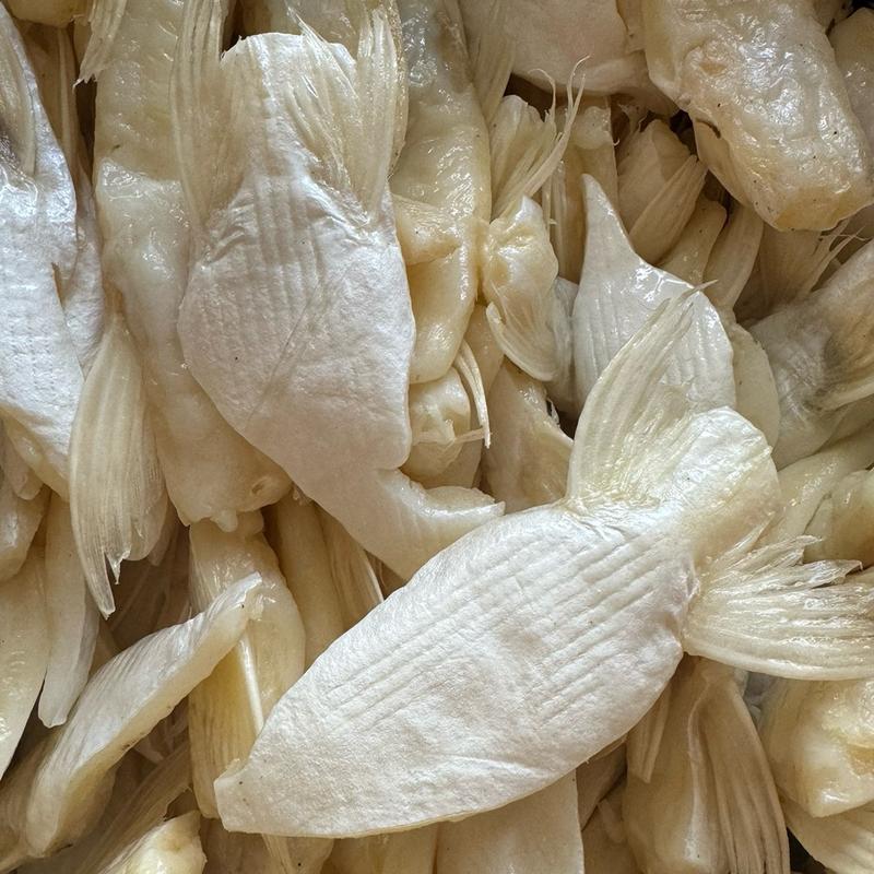 KHÔ ỨC CÁ DỨA túi 500gr khô mặn ăn cơm