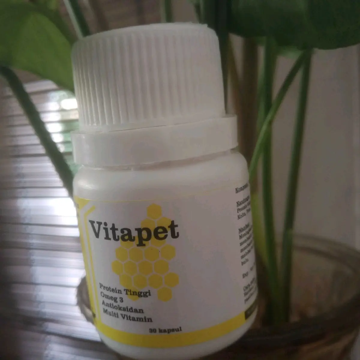vitamin pelebat bulu hewan ( kucing dan anjing)