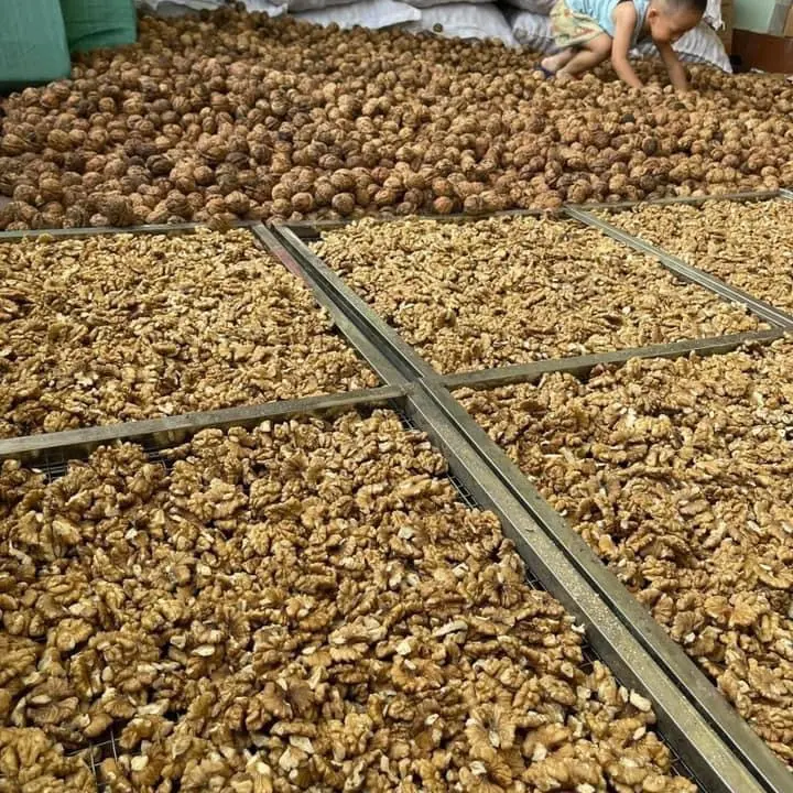 1KG HẠT ÓC CHÓ TÁCH VỎ KHÔ NHÀ LÀM Nuts Ăn Vặt hạtdinhduong 3