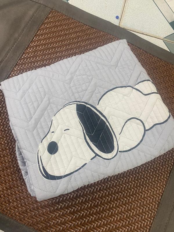 Product Introduction of Vỏ gối ôm trần bông cotton đũi hữu cơ xơ đậu nành nhập khẩu kích thước 35x110cm 23