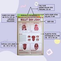 Gambar Poster Anak Bingkai Seri Anatomi : Mata / Mulut Dan Lidah / Organ Tubuh / Otot Manuia / Our Skeleton / Paru Edukasi Paper Stationery / Pustaka Baru Press - PB - 7K MATA MANUSIA dari Pustaka Baru Press Kab. Bantul 4 Tokopedia