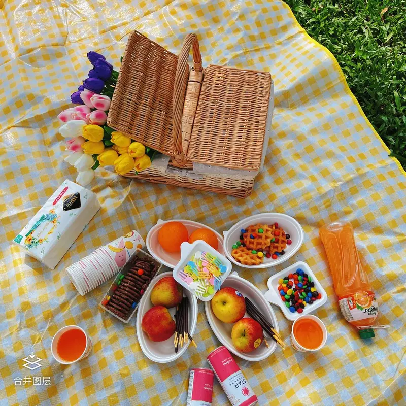 Thảm picnic thảm decor dã ngoại cao cấp chụp ảnh cực đẹp gấp gọn dễ dàng mang theo Camping Đi Cắm Trại 3