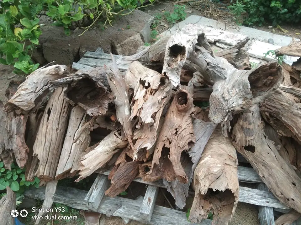 LŨA SAN ĐÁ ỐNG RỖNG - TRANG TRÍ HỒ CÁ TÉP THỦY SINH 1KG