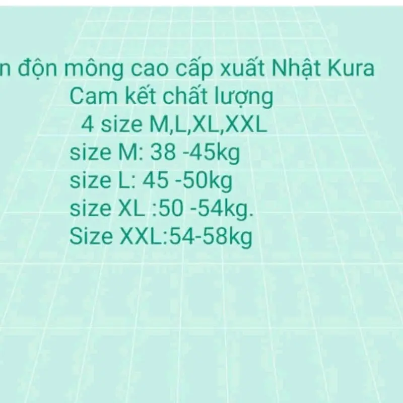 Quần Độn Vòng 3 Nâng Mônq Ren C.ao Cấp Kura Xuất Nhật Loại 1 Ca.m k.ết  đẹp tự nhiên ÁO Nữ 8