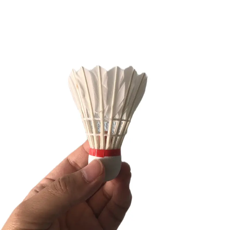 Cầu lông Thành công [Hộp 10 quả] Cầu lông học sinh Sport Vợt Cầu Lông Cán Vợt Đồng Nam ong  caulong 6
