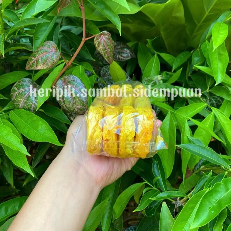 Kerupuk Cakar Ayam ASIN/Sarang Balom ASIN/Sarang Burung ASIN isi 12 PCS 7